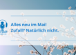 ina_meyer_frauen_erfolgs_akademie